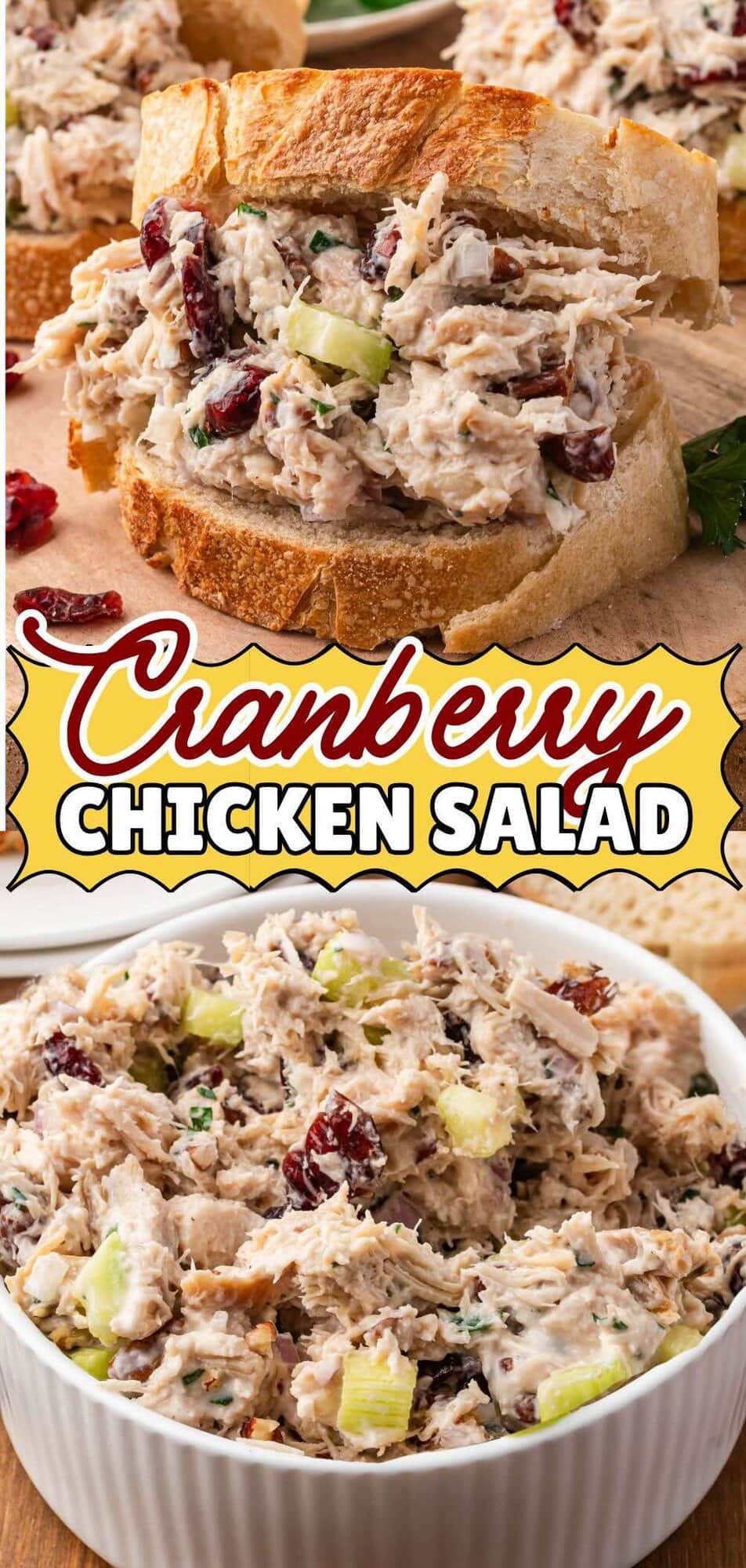 A vertical split image featuring a hearty cranberry chicken salad sandwich on toasted crusty bread at the top. The bottom section shows a white bowl filled with the creamy chicken mixture, highlighting the red cranberries, green celery, and chopped pecans mixed with shredded rotisserie chicken.