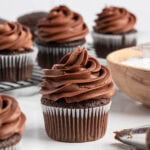cupcake with chocolate buttercream frosting on top.
