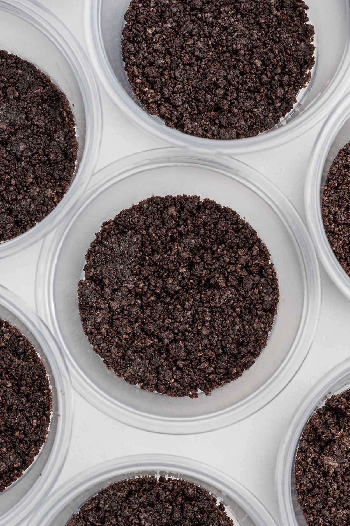 Chocolate cookie crumb crust pressed into individual dessert cups, ready for filling.