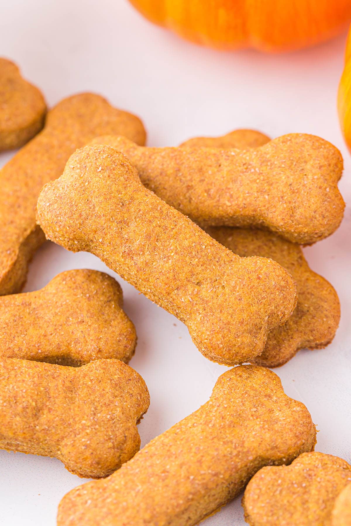 Bone-shaped pumpkin dog treats scattered on a table with a pumpkin in the background.