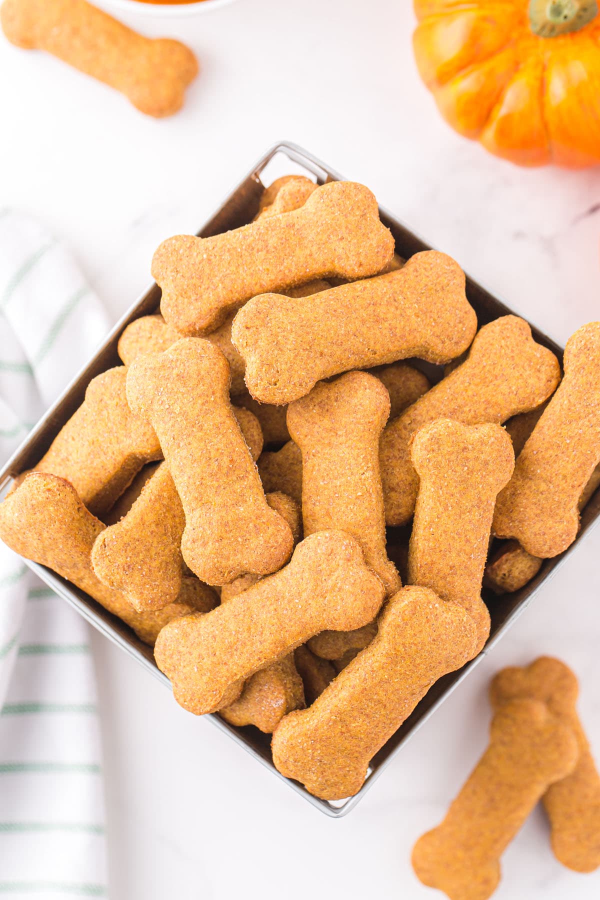 Overhead view of bone-shaped pumpkin dog treats piled in a metal tin next to a pumpkin.