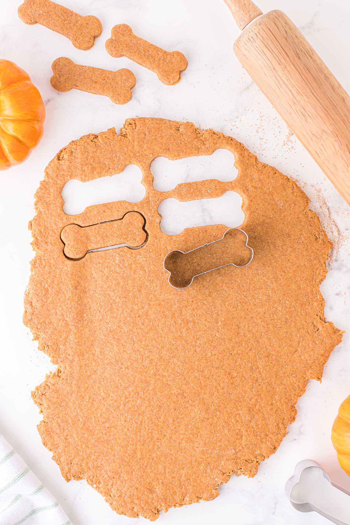 Rolled out pumpkin dog treat dough being cut into bone shapes.