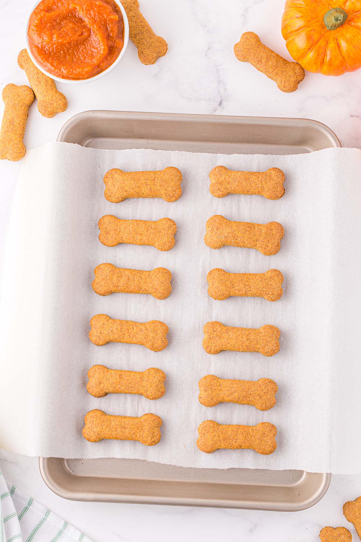 Baked pumpkin dog treats arranged in rows on a parchment-lined baking sheet.