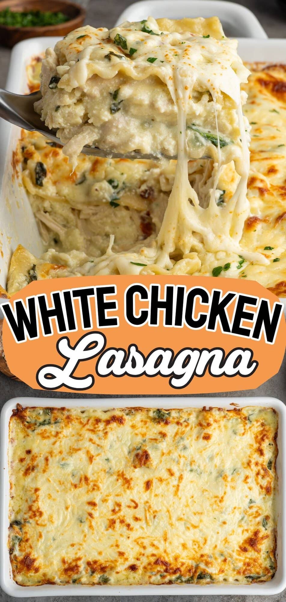 White chicken lasagna recipe pin with a cheesy slice lifted and a baked serving below.