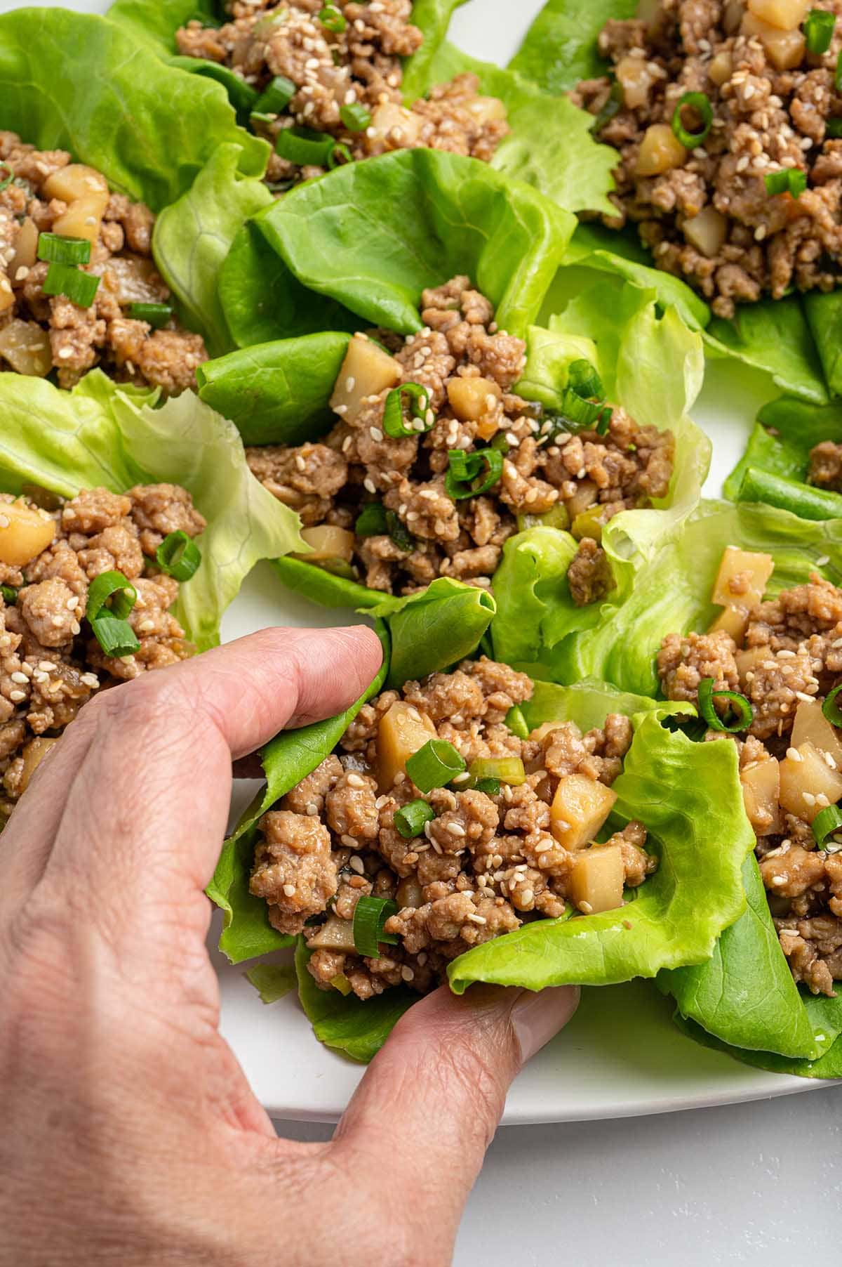 Asian chicken lettuce wrap with ground chicken, water chestnuts, green onions, and sesame seeds.