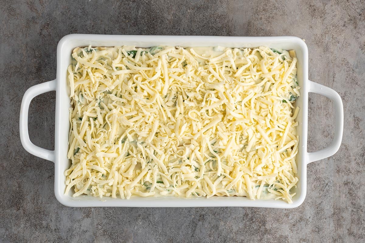 Sprinkle the shredded mozzarella evenly over the top, making sure the entire surface is covered for a bubbly, golden cheese layer after baking.