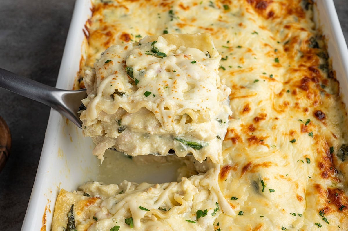 a lifted spoonful white chicken lasagna.