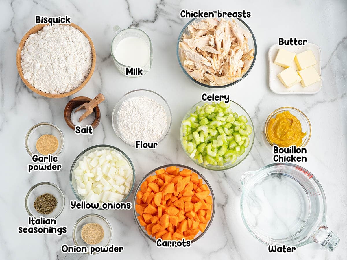 Chicken and dumplings ingredients.