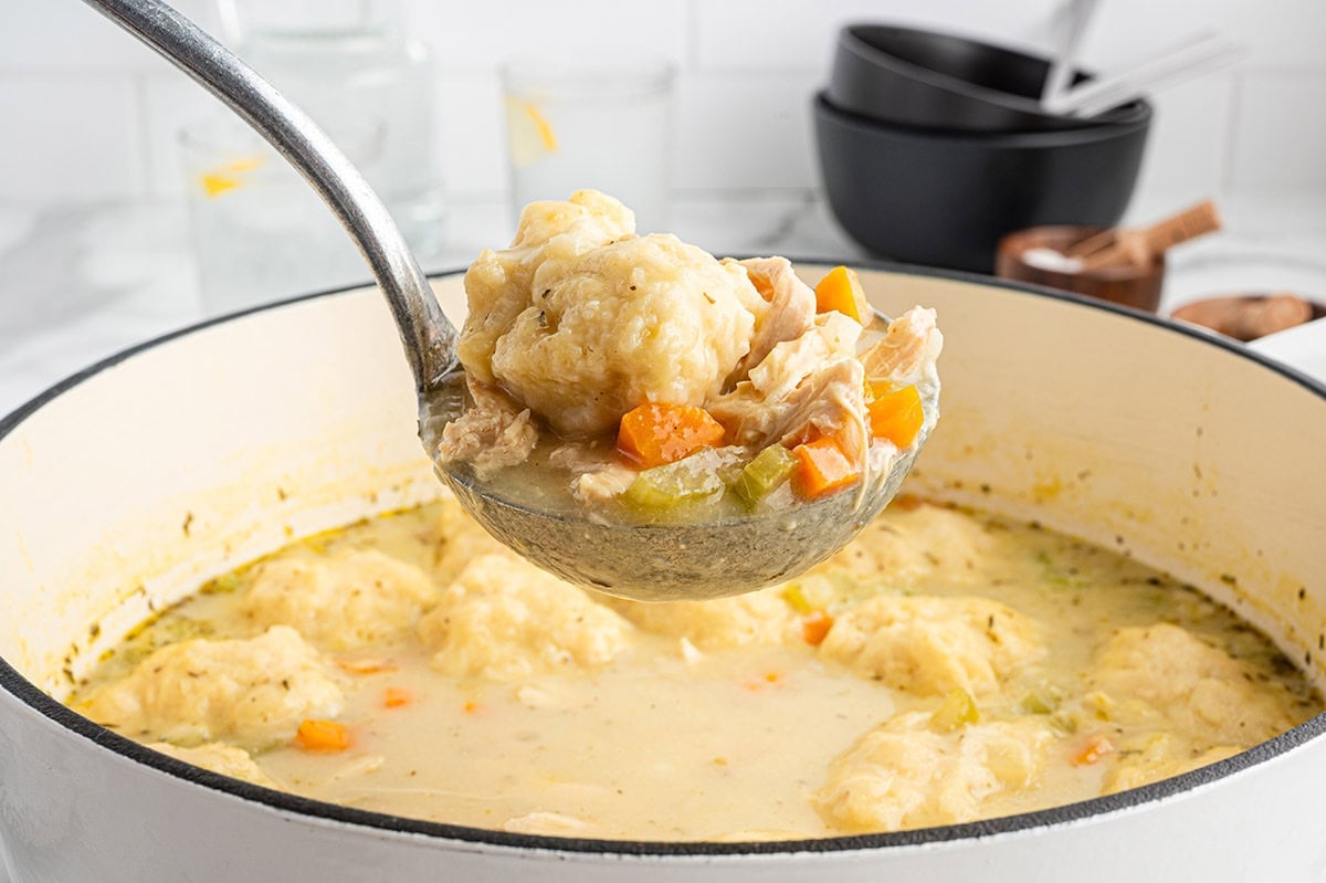 Ladle scooping chicken and dumplings from a pot.
